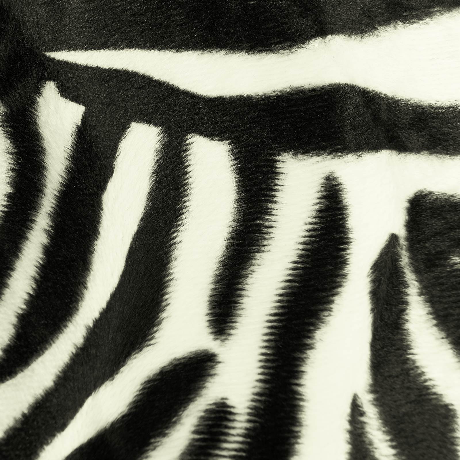 Zebra kudottu turkis